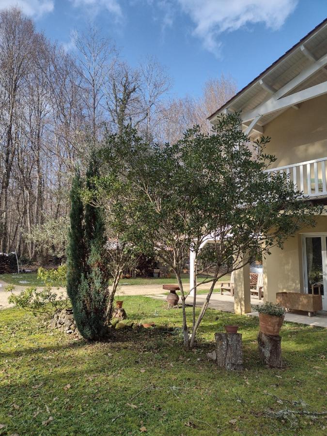 Homestay Un Air De